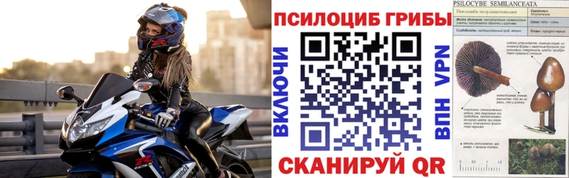 Купить где  Томилино  Галлюциногенные грибы мицелий 